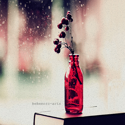 d66224a136c4289c58c7fb0cc700e31f-d3og567