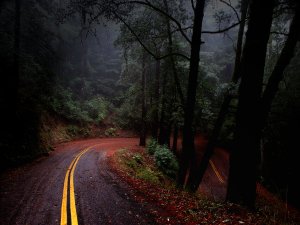 Fairfax_Bolinas_Road_by_JasonTheStranger
